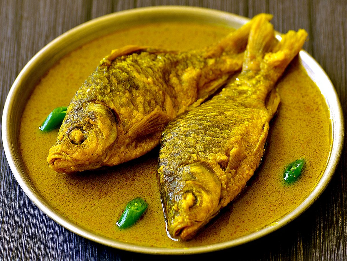 Tel Koi